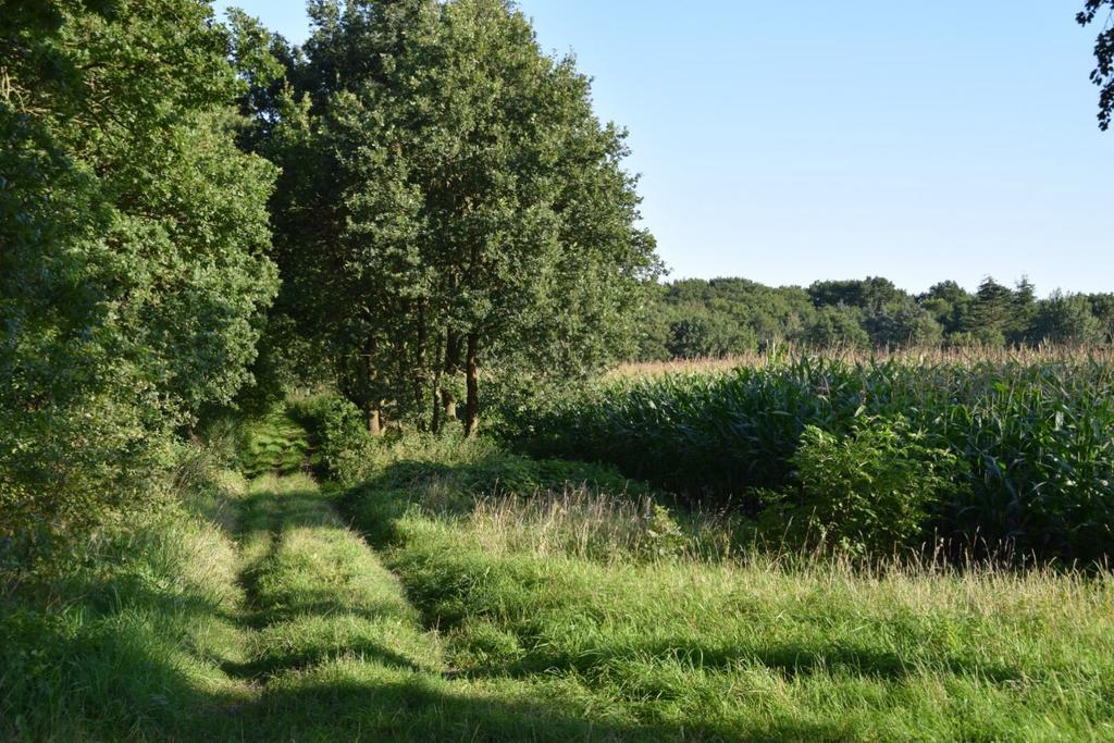 H.R. Jachtlust Steenbergen (Drenthe) Exterior photo